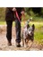 Halti Çift Uçlu Köpek Gezdirme Kayışı, L Boy, Siyah, 2 M 5