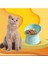 Kedi ve Köpek Için Plastik Mama ve Su Kabı, Evcil Hayvan Mama Kabı (Mavi) 1