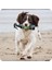 Stink Bomb Ferahlatıcı Köpek Spreyi 250 ml 7