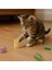 Karışık Boyutlu Spiral Yay Kedi Oyuncakları 10 Parça Renkli Ince Kalın Uzun Kısa Yaylar 3