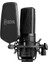 BY-M1000 Stüdyo Mikrofonu, Standart 1