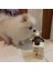 Skin & Coat Köpekler Için Tüy Sağlığını Destekleyici Multivitamin 6