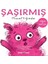Şaşırmış Hissettiğimde 1