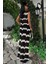 Shayna Ajurlu Crop Takım 9825 7