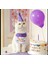 Kedi/köpek Doğum Günü Parti Kıyafeti/aksesuarı (Şapka ve Önlük) Evcil Hayvan Doğum Günü Sürprizi 1