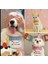 Kedi/köpek Doğum Günü Parti Kıyafeti/aksesuarı (Şapka ve Önlük) Evcil Hayvan Doğum Günü Sürprizi 5