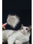 Otomatik Tuşlu Kendini Temizleyen Kedi Köpek Tarağı 3