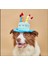 Kedi/köpek Doğum Günü Parti Seti (5 Parça) Evcil Hayvan Doğum Günü Partisi Tam Set 4