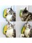 Silikon Kaşıyıcılı Kedi Otu 4