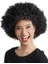 Siyah Renk Kıvırcık Afro Bonus Parti Peruğu 1