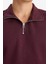 Regular Fit Dik Yaka Yarım Fermuarlı Basic Düz Sweatshirt X7405AZ25AU 5