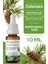 Sedir Ağacı Yağı %100 Doğal Bitkisel Uçucu Yağ Cedarwood Oil 10ML 1