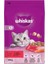 Sığır Etli/havuçlu Kedi Maması 300 G 1