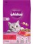 Sığır Etli/havuçlu Kedi Maması 300 G 7