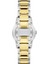 JPQLS317328YGN Kadın Kol Saati 3