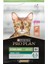 Sterilised Somonlu Kuru Kedi Maması 3 kg 2