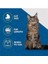 Kedi Deshedding Aracı, Kediler Için Deshedding Fırçası, Gevşek Saçları Kaldırır Büyük 6