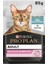 Purina Delicate Digestion Sos Içinde Okyanus Balıklı Yetişkin Kedi Maması 85GR Pouch x 26 1