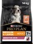 Medium Large Somonlu Kuru Köpek Maması, Yetişkin 7+ Yaş, 14 kg 1