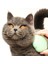Pet Teezer - - Kediler Için Tüy Bakım Fırçası, Yeşil 6