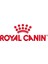 Medium Adult Gravy Yetişkin Köpek Yaş Maması 140 gr x 10 Adet 3