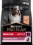 Orta Yetişkin Köpek Maması Somonlu, 14 kg 1