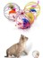 Metal Kafesli Peluş Fareli Kedi ve Köpek Oyuncağı – 6 cm Eğlenceli Oyun Topu 5