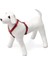 Kilitli Göğüs Tasma, Köpek, 45-70 Cm, Kırmızı 1