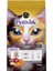 Yetişkin Kediler Için Kuzu Etli Kuru Kedi Maması (500 Gram, Kuzu) 7