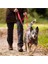 Halti Çift Uçlu Köpek Gezdirme Kayışı, L Boy, Mor, 2 M 5