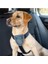 Carsafe Köpek Harness Araba Seyahat Göğüs Tasması, Large Siyah 2