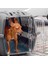 Jet 20 Gri Kedi Köpek Taşıma Çantası, Grey 3