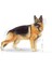 German Shepherd Adult Köpek Maması, 11 kg 3
