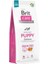 Care Skin & Coat, Deri ve Tüy Hassasiyeti Olan Yavru Köpekler Için, Tahılsız, Somon Balıklı 1