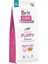 Care Skin & Coat, Deri ve Tüy Hassasiyeti Olan Yavru Köpekler Için, Tahılsız, Somon Balıklı 2
