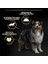 All Size Beyaz Balıklı Sterilised-Light Yetişkin Köpek Maması 14 kg 2