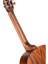 Klasik Gitar AC100DXOP 3