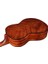 Klasik Gitar AC100DXOP 4