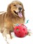 Pawise Shake Me Giggle Ball Sesli Top 6