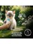 Kitten Care Milk Replacer, Anne Sütü Destekli Yavru ve Hamile Kedi Süt Tozu, 200 gr 5