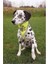 Köpek Bandanası S-M 29-42 Cm, Sarı 5