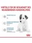 Baby Dog Milk 400 gr 7