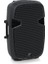 PK115 800-WATT 15" Pasif Stüdyo Monitör 4
