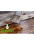 Keten Yağı Resim Yağı Ahşap Koruyucu 500 ml Linseed Oil 6
