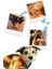 Havhav Mihav Sesli Köpek Oyuncağı Turuncu Renkli Kedi Şekilli Köpek Diş Kaşıma Oyuncağı 7