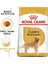 Golden Retriever Kuru Köpek Maması, Yetişkin, 12 kg 3