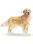 Golden Retriever Kuru Köpek Maması, Yetişkin, 12 kg 6