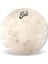 Calftone Tom 13 Inch - TT13C7 Tom Derisi 1