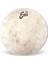 Calftone Tom 13 Inch - TT13C7 Tom Derisi 4