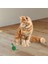 ® 2li Rattan Renkli Peluş Tüy Kedi Köpek Oyuncak Yakalama Çiğneme Çıngıraklı Top Oyuncağı 3